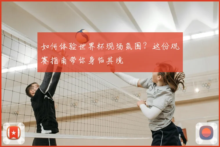 如何体验世界杯现场氛围?这份观赛指南带你身临其境